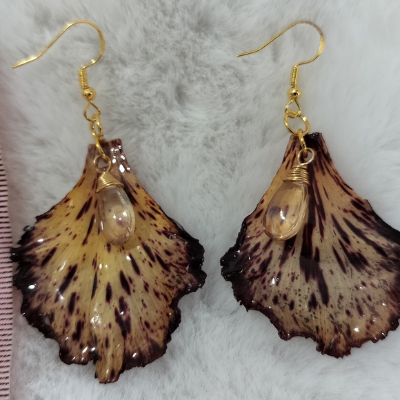 Elegant Natural Brown and Gold Earrings - Picture 4 of 4